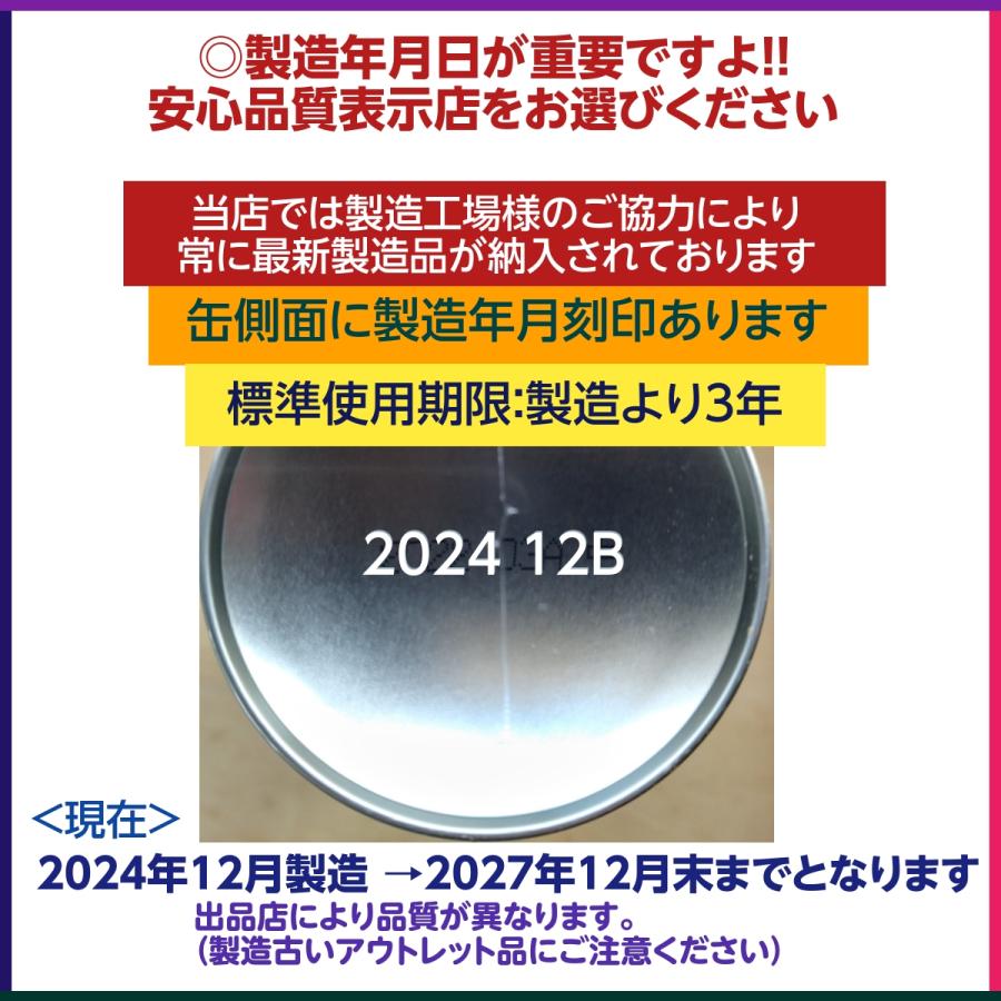 もやっとさー様 専用出品用。購入不可！！ （【予約商品】消火