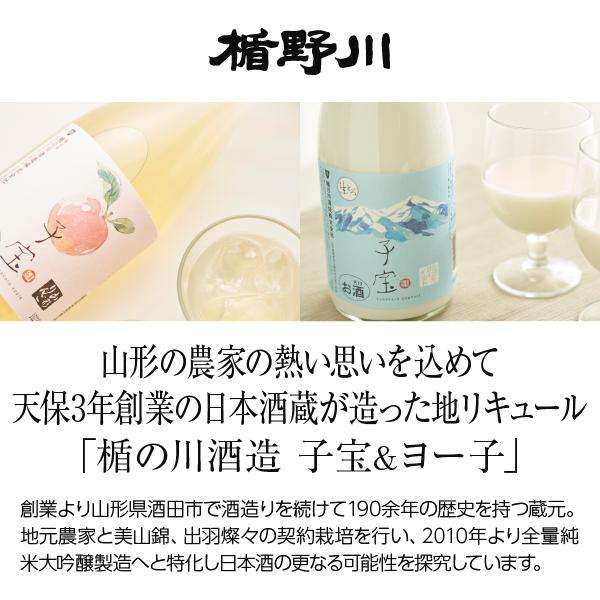 リキュール 山形 楯の川酒造 子宝 鳥海山麓ヨーグルト（白ラベル） 8度 720ml |  | 01