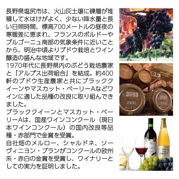 赤ワイン 国産 アルプス ワイン アルプス 酸化防止剤無添加 信州 コンコード 720ml 日本ワイン｜manroku-y｜03