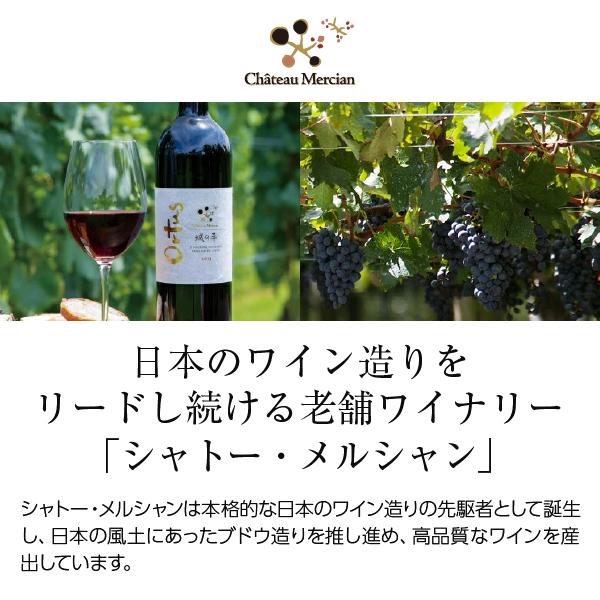 赤ワイン 国産 シャトー メルシャン 長野メルロー 2018 750ml 日本ワイン｜manroku-y｜02