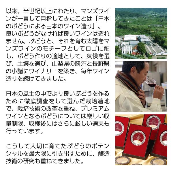赤ワイン 国産 マンズワイン ソラリス 千曲川 カベルネ ソーヴィニヨン 2020 750ml 日本ワイン | ソラリス | 02