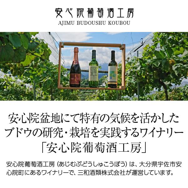 白ワイン 国産 安心院 フランシスコ デラウェア 2023 500ml デザートワイン 日本ワイン |  | 01