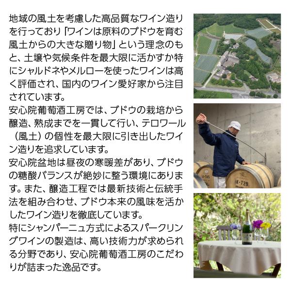 白ワイン 国産 安心院 フランシスコ デラウェア 2023 500ml デザートワイン 日本ワイン |  | 02