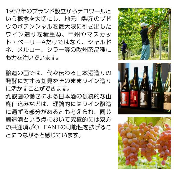 白ワイン 笹一酒造 OLIFANT オリファン 甲州 シュール リー 750ml 日本ワイン |  | 02