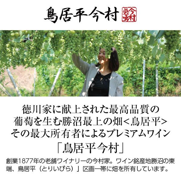 白ワイン 国産 鳥居平今村 上菱平圃場ブラン 2022 750ml 日本ワイン |  | 01