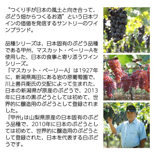 ロゼワイン 国産 サントリー フロムファーム マスカット ベーリーA 日本のロゼ 2021 750ml 日本ワイン｜manroku-y｜03