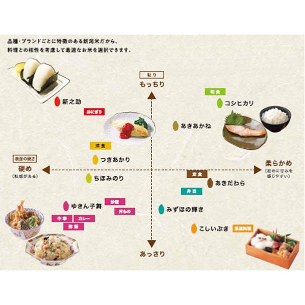 つきあかり 米5kg 新潟県産 大粒で艶やかな 令和7年産 【米麺・玄米麺