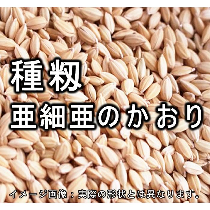 6年産 種籾 「亜細亜のかおり」 4kg｜万糧米穀