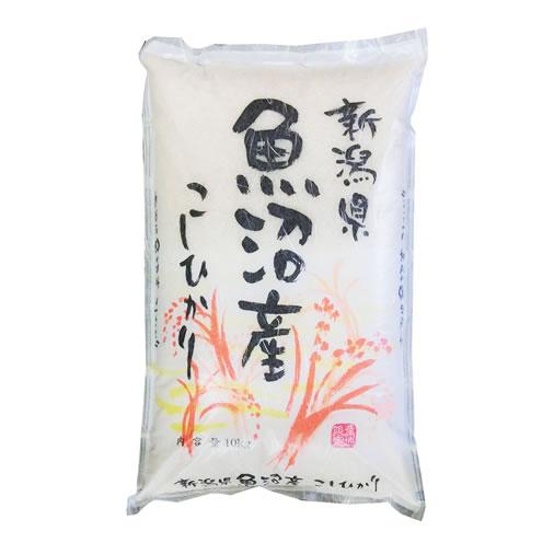 コシヒカリ 魚沼コシヒカリ 米10kg 新潟県 魚沼産 JA十日町 令和7年産