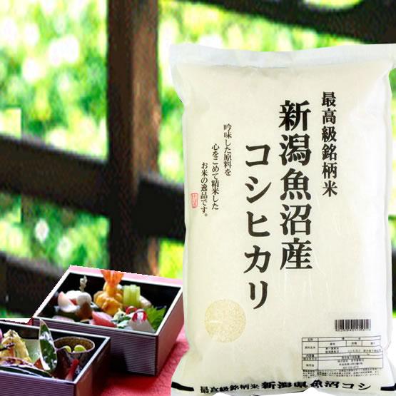新潟県 魚沼産 コシヒカリ 10kg コシヒカリ 米 魚沼産 令和7年 玄米10kg 新潟魚沼産 南魚沼 しおざわ産