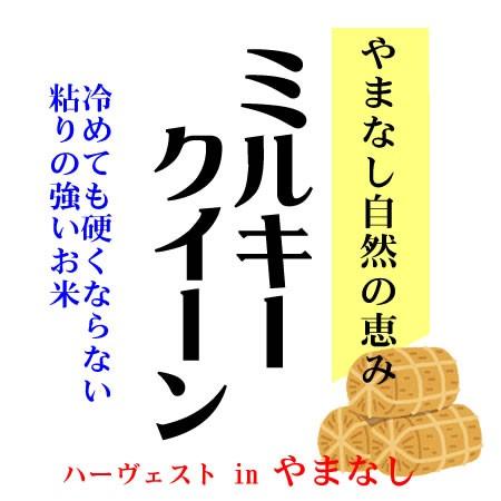 ミルキークイーン 米10kg 山梨県産 自然豊かな やまなし 令和6年産 新米