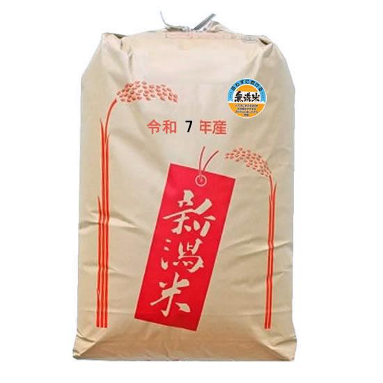 無洗米】もち米 令和7年産新潟県産わたぼうし 精米 30kg : 万糧米穀