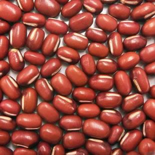 小豆様出品購入品確認用 輸入小豆 カナダ産小豆 30kg 品種：えりも他 【事業所配送（個人宅不可