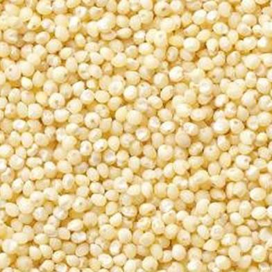 うるち きび 中国産 業務用 20kg (10kgx2) : 万糧米穀 - 通販 - Yahoo