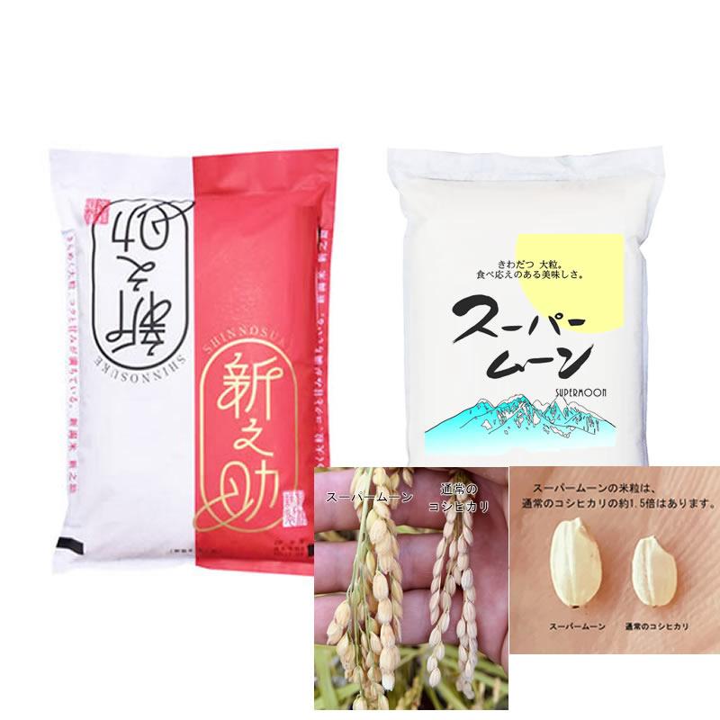 大粒米 対決!! 新之助 対 スーパームーン 各5kg 令和7年産 : 万糧米穀