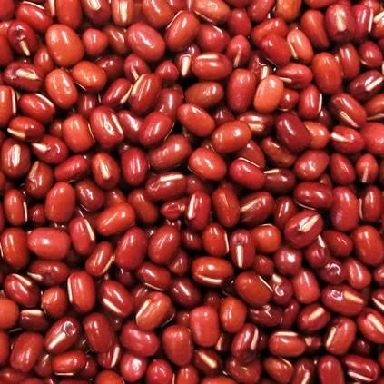 小豆 5kg 令和6年産北海道産小豆5kg | まめばたけ