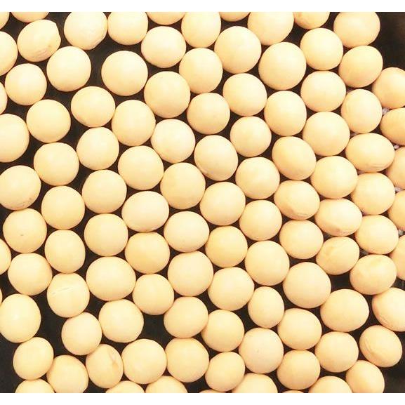 北海道産 大豆　5kg　(北海道産とよまさり) の商品画像