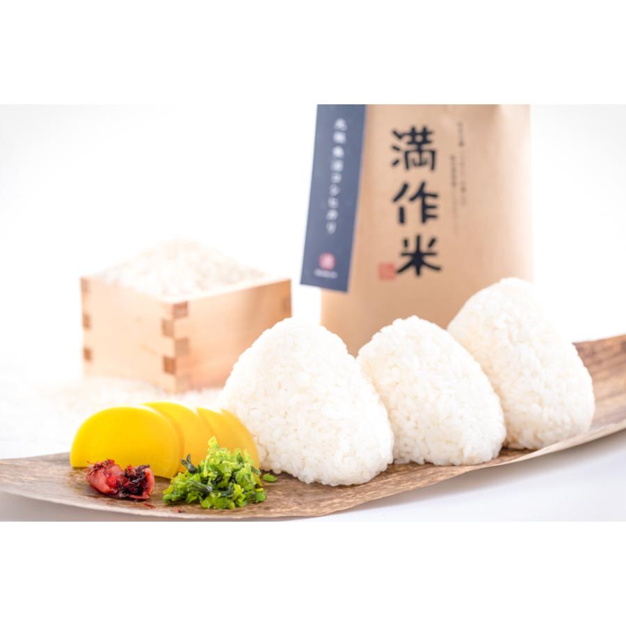 魚沼産 コシヒカリ 玄米30kg 令和7年産/1等/米/玄米/新米 