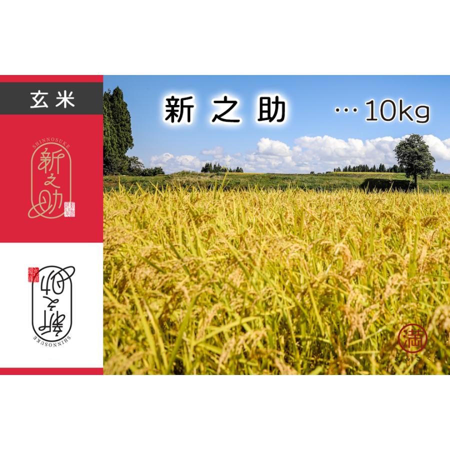 魚沼 魚沼産100%！新之助「玄米」10kg（津南町上郷地域限定米