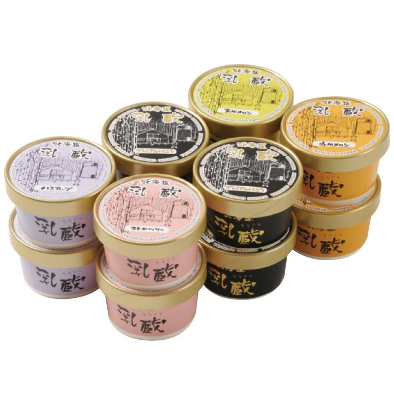 ギフト 2025 北海道 乳蔵 アイスクリーム 5種12個 プレミアムバニラ入