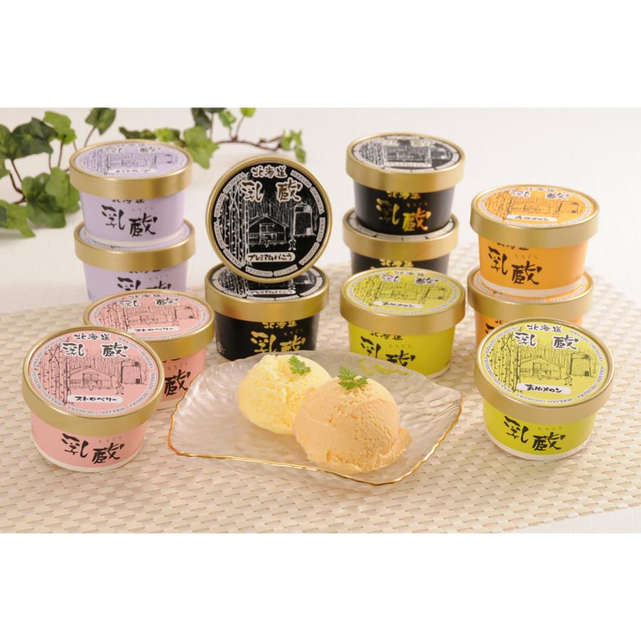 ギフト 2025 北海道 乳蔵 アイスクリーム 5種12個 プレミアムバニラ入