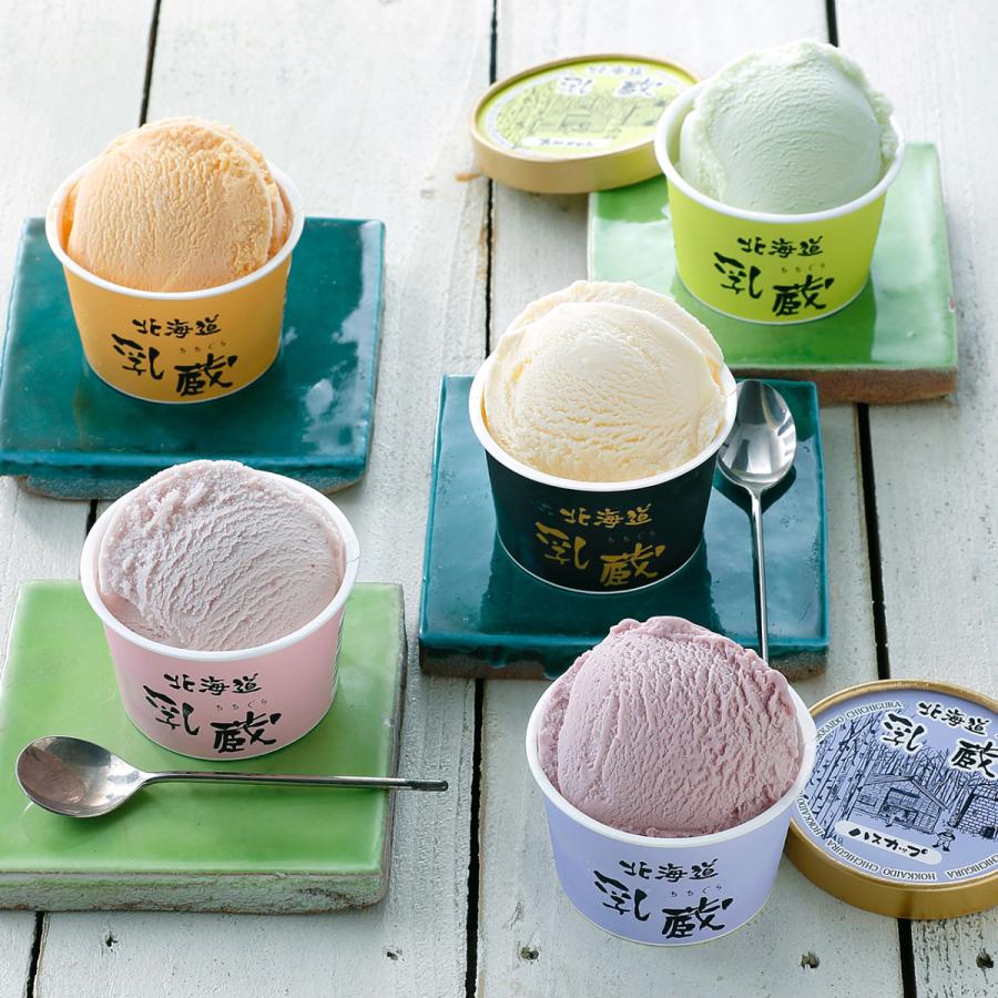 ギフト 2025 北海道 乳蔵 アイスクリーム 5種12個 プレミアムバニラ入