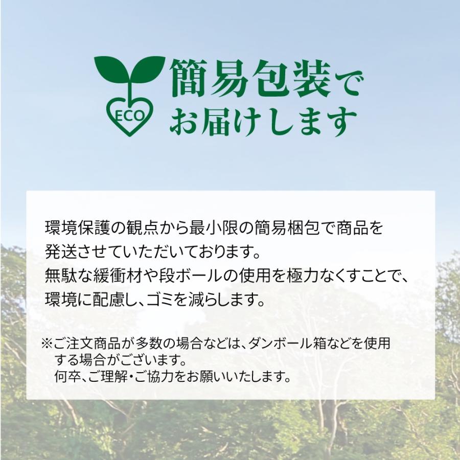 TAIWAN YUASA バイク バッテリー 台湾 ユアサ 液入 TTZ7SL (互換