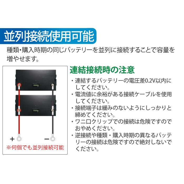 リチウムイオンバッテリー 12V 100Ah 多目的用バッテリー BMS