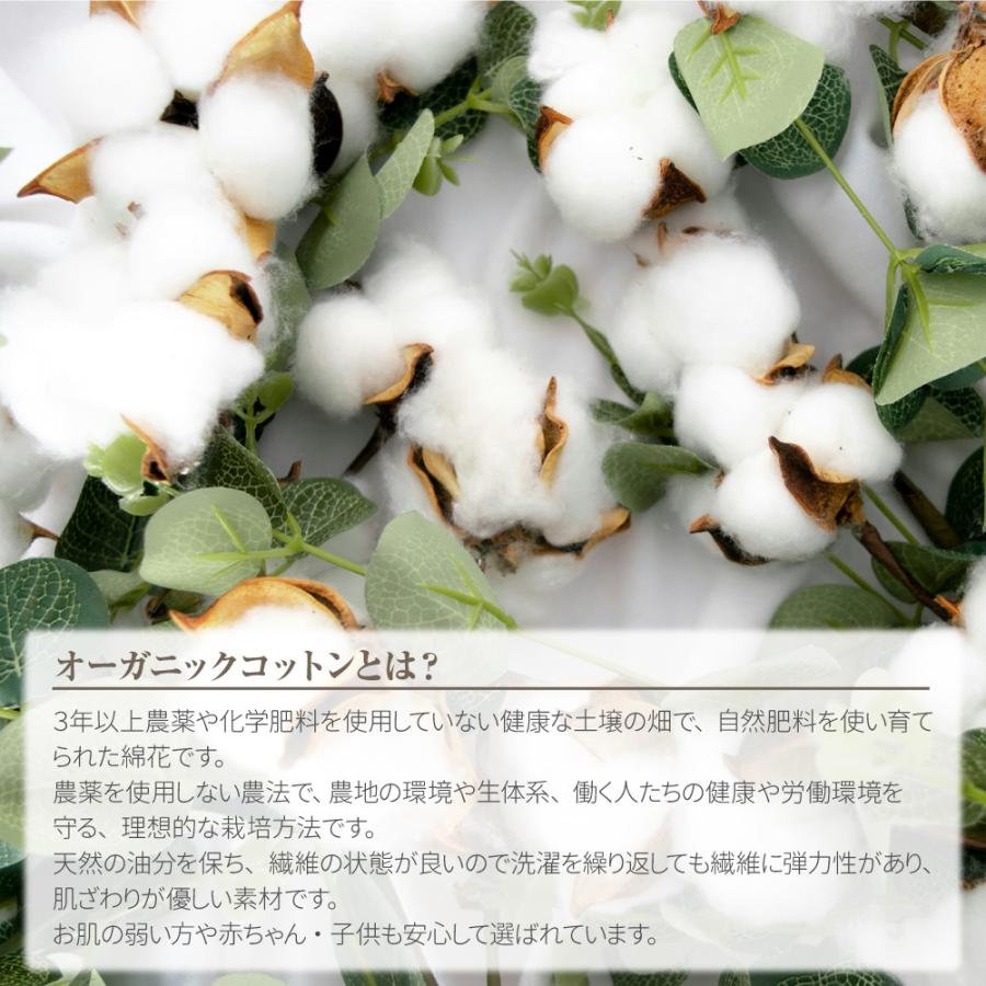 昭和西川 日本製 ガーゼケット シングル 8重 綿100％ オーガニック
