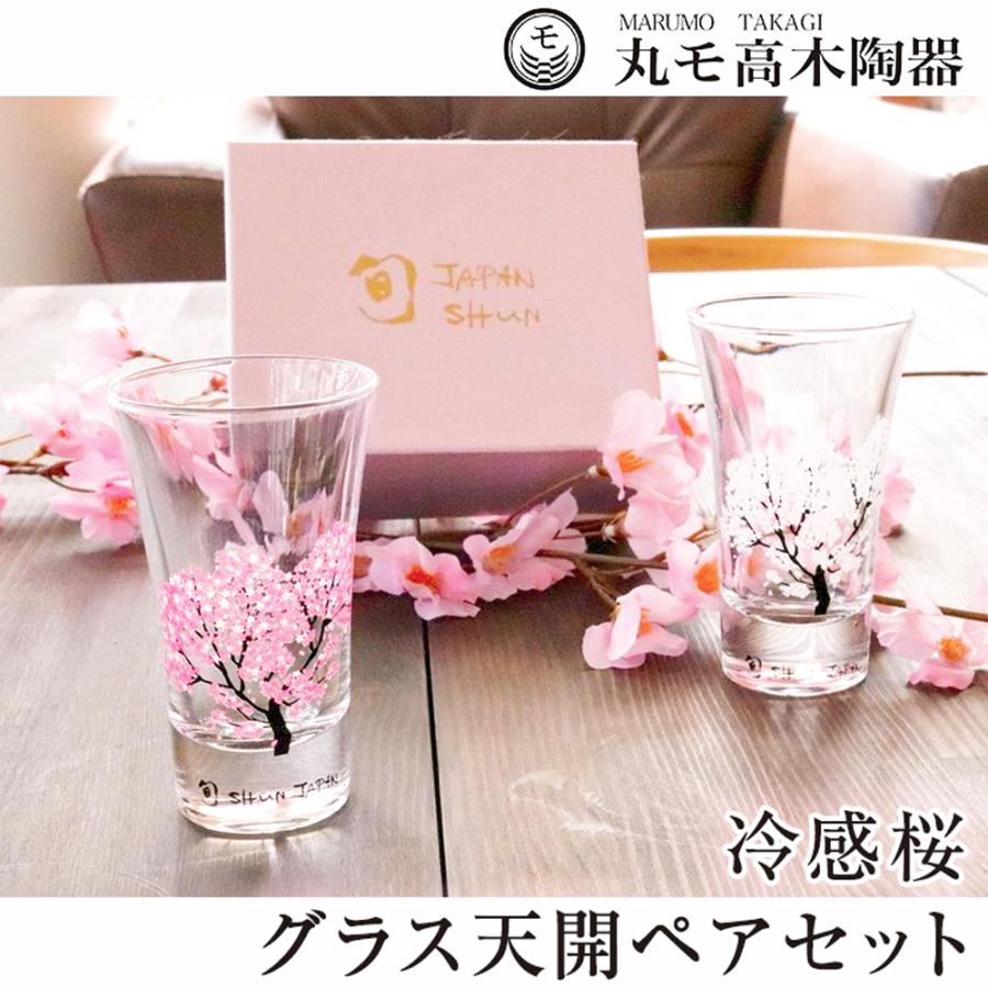 丸モ高木陶器 冷感桜 グラス天開 ペアセット 冷酒グラス 酒器 さくら