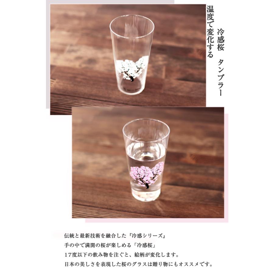 丸モ高木陶器 冷感桜 タンブラー ペアセット 酒器 グラス さくら 花見