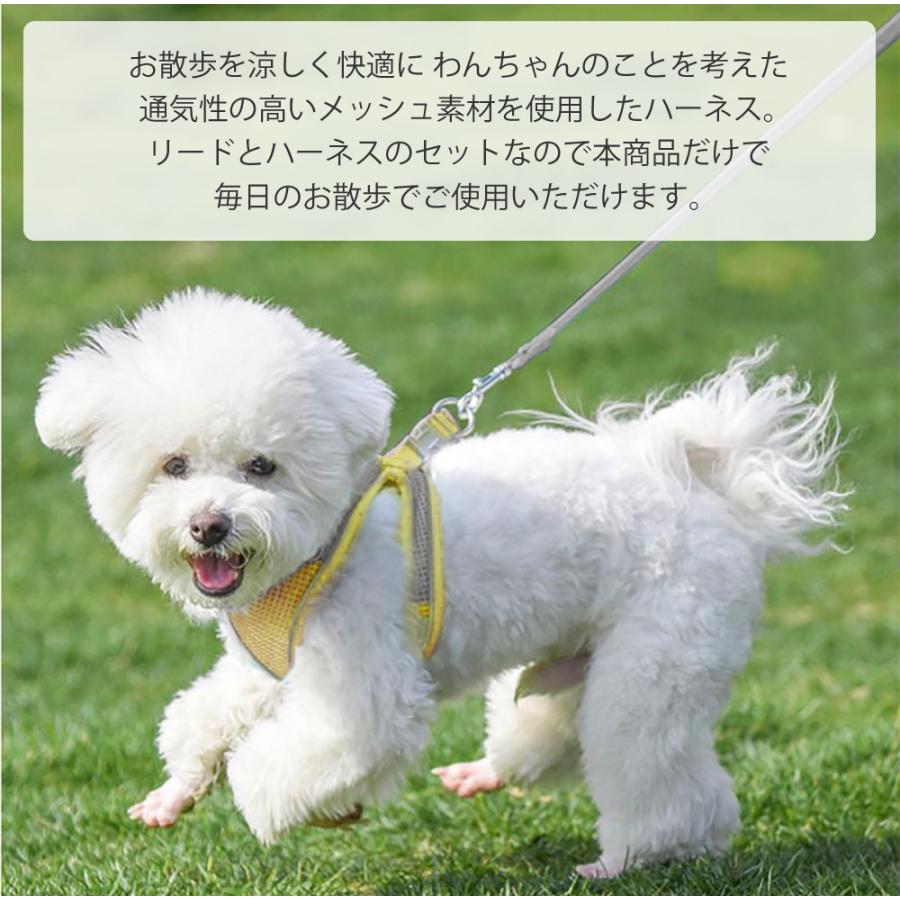 反射板付きメッシュハーネス＋リードセット 犬 超小型犬用 小型犬