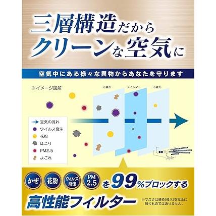 Coolth Style】日本製 不織布マスク 黒 個包装 50枚 三層構造 高密度