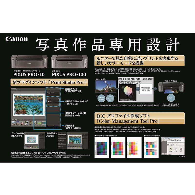 Canon インクジェットプリンター PIXUS PRO-100S｜mantaaaro｜06