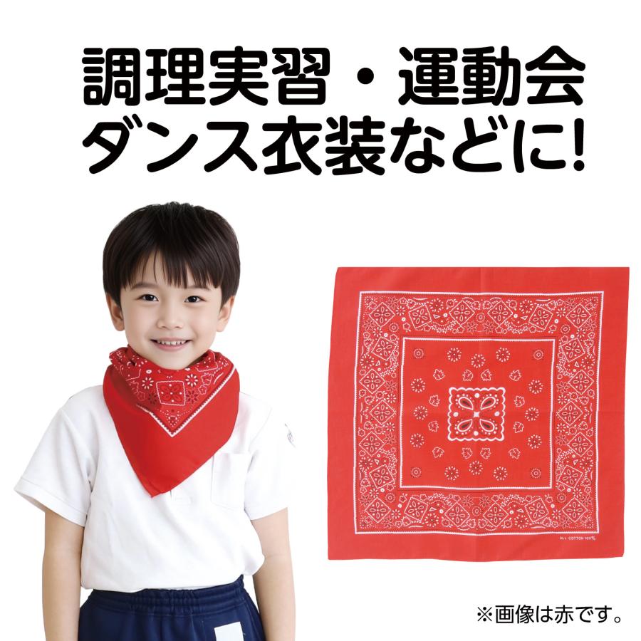 バンダナ 黒 子供用衣装 イベント用品 アーテック : まんてんライフ
