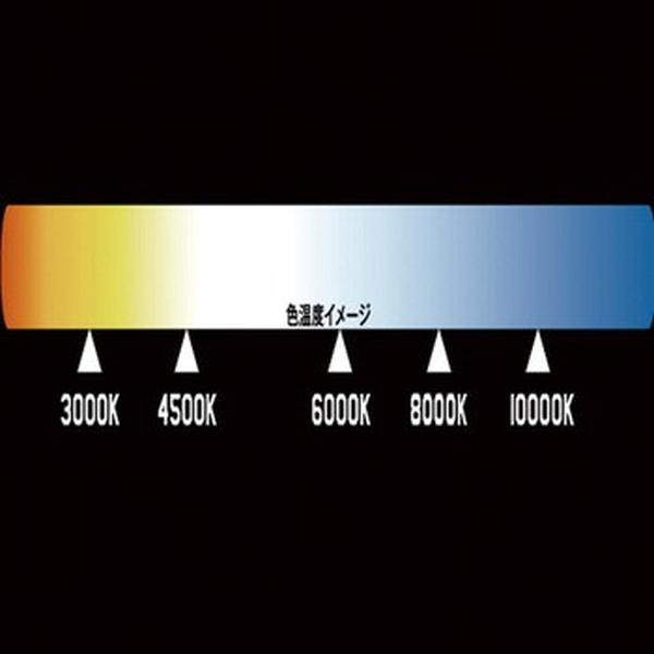 ジェットイノウエ 24V専用 ハロゲンバルブ H4/6000K ホワイト HA-005 528095 トラック用品 ランプ・電飾パーツ JET ...