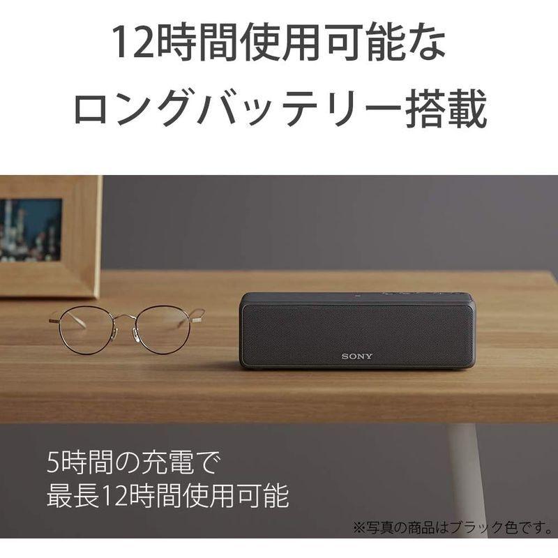 ソニー ワイヤレスポータブルスピーカー SRS-HG10 : Bluetooth/Wi-Fi/LDAC/ハイレゾ/専用スマホアプリ対応 20｜mantendo0｜06