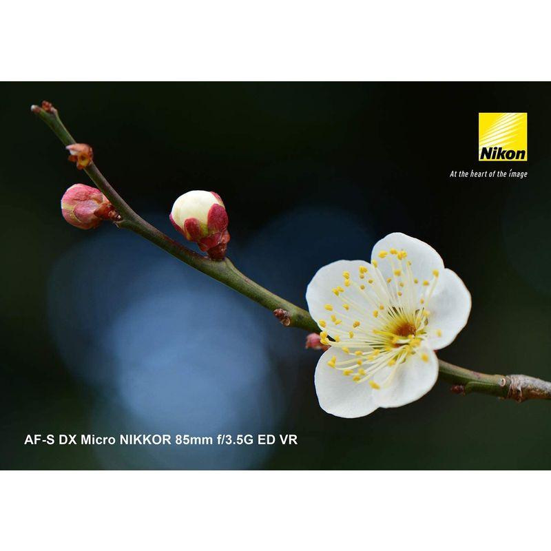 Nikon 単焦点マイクロレンズ AF-S DX Micro NIKKOR 85mm f/3.5G Nikon 単焦点マイクロレンズ AF-S DX Micro NIKKOR 85mm f/3.5G