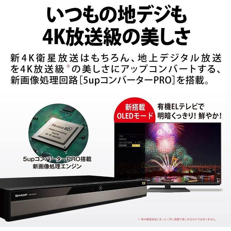 シャープ 1TB 2番組同時録画 4K ブルーレイレコーダー 4B-C10DW3 シャープ 1TB 2番組同時録画 4K ブルーレイレコーダー 4B-C10DW3