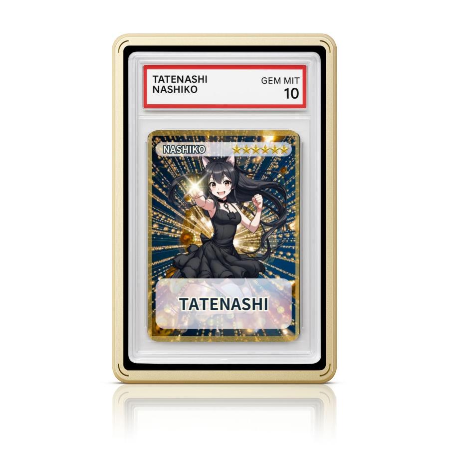 TATENASHI マグネットローダー PSA 鑑定 ケース 専用 UVカット アルミ