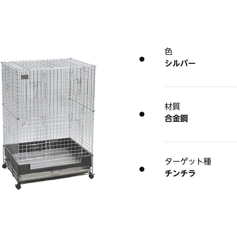 数量限定 コンフォート60 チンチラスペシャル 【D2391785683】(13013円)