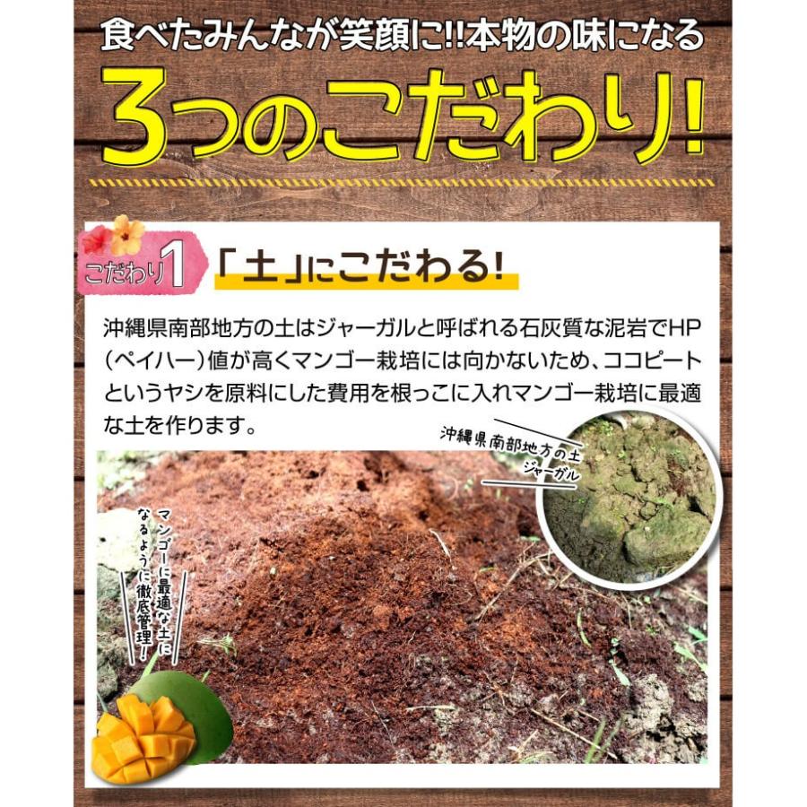 受付開始 キーツマンゴー 秀品 マンゴー セール商品 濃厚 1 7kg 2kg 贈り物 お土産 お盆 贈答用 2玉入り 沖縄土産