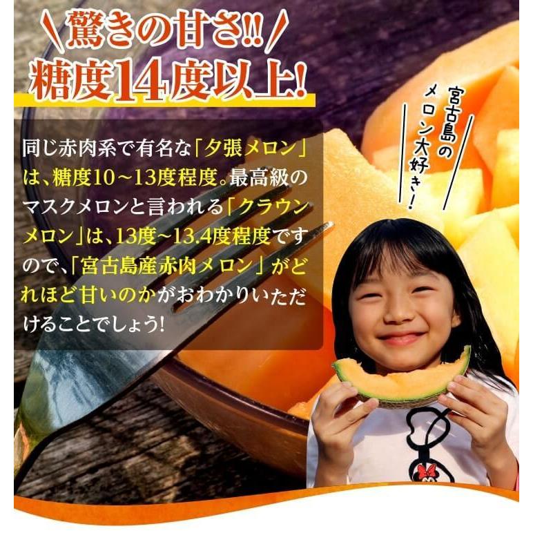宮古島産 春 メロン 赤肉 メロンクインシー 高級メロン 大玉2L-3L（1.5