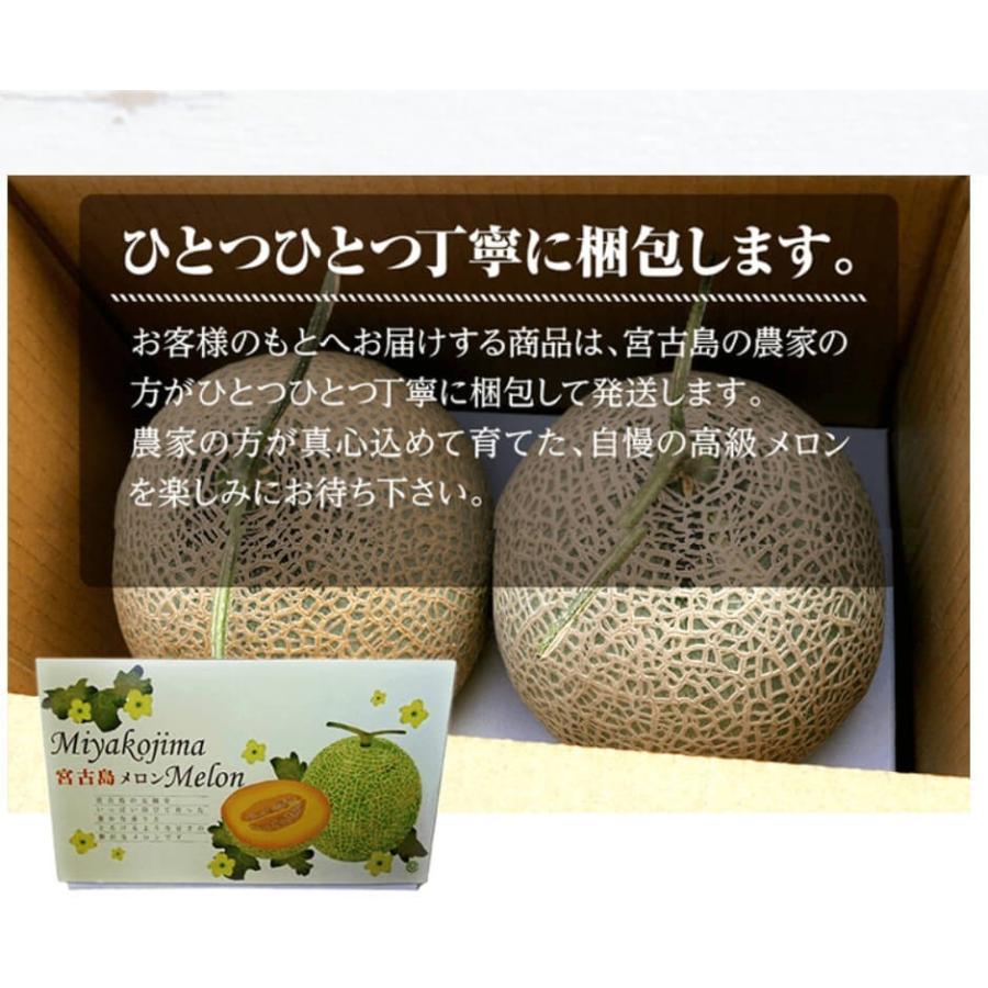 高知県産　赤肉メロン　7玉入り　 約7.8㎏（下箱込み） 高知県産 赤肉メロン 6玉入り 約10.4kg（下箱込み） - メルカリ