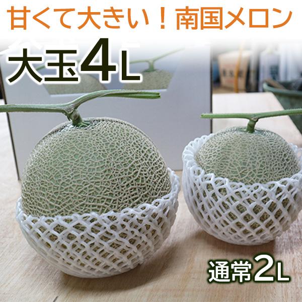 父の日 宮古島産 春 メロン 赤肉メロン クインシー 高級メロン 超大玉