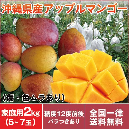 予約割り アップル マンゴー 良品 家庭用 訳あり 2kg（5〜7玉入り）傷 