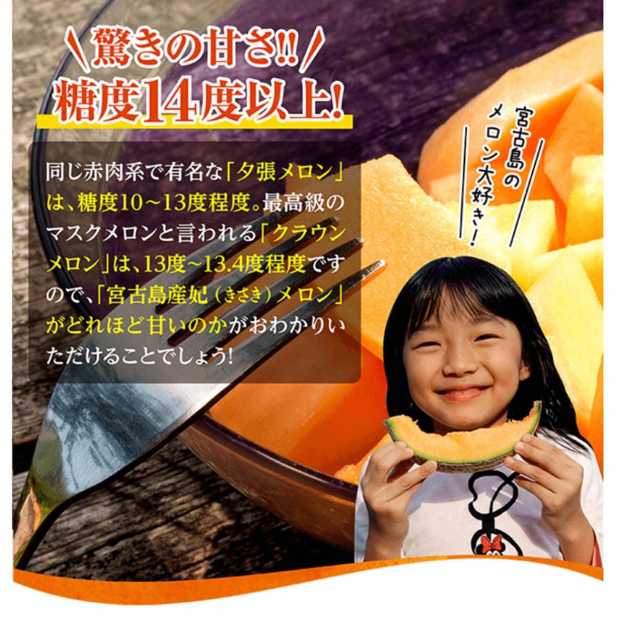 宮古島産 春 高級 メロン 赤肉 クインシーメロン 大玉 1玉2L-3L（1.5kg