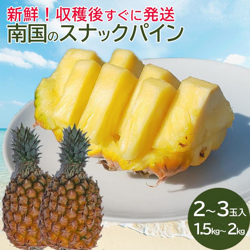 沖縄産 完熟 スナックパイン ボゴールパイン 中玉 大玉サイズ2 3個 約1 5kg 2kg 糖度15度以上 パイナップル パイン Snpm2kg まんてん沖縄 通販 Yahoo ショッピング