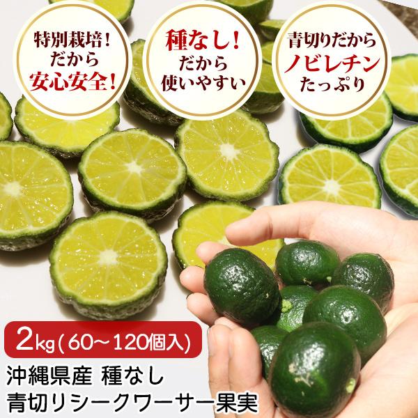 沖縄産 山原 青切り シークワーサー シークヮーサー 果実 種なし A品 2kg (60〜100個入り) 特別栽培 農薬残留ほぼゼロ ノビレ ...