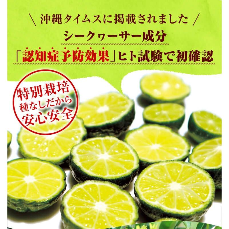沖縄産 山原 青切り シークワーサー シークヮーサー 果実 種なし A品 2kg (60〜100個入り) 特別栽培 農薬残留ほぼゼロ ノビレ ...